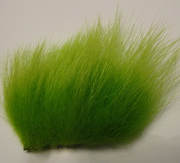 polar bear  chartreuse standart